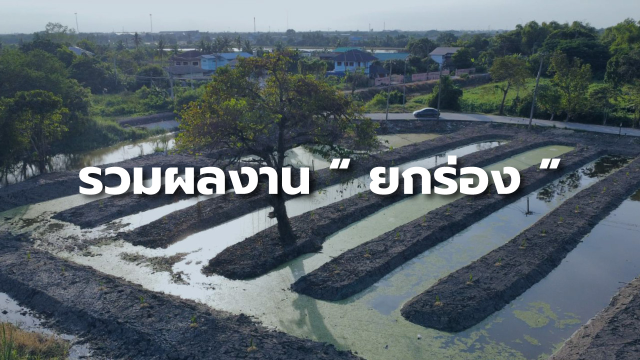 รวมผลงาน ” ยกร่องแปลงเกษตร “