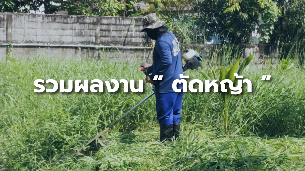 รวมผลงาน ” ตัดหญ้า/ดูแลแปลงเกษตรแบบรายเดือน “